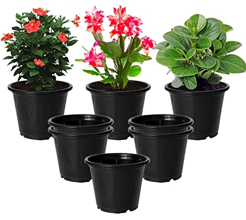 Image of Kuber Industries Durable Plastic Flower Pot|Gamla with Drain Holes for Indoor Home Decor & Outdoor Balcony,Garden,6 inchx5 inch,Pack of 8 (Black)