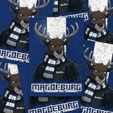 Fan-Kultur Xperience