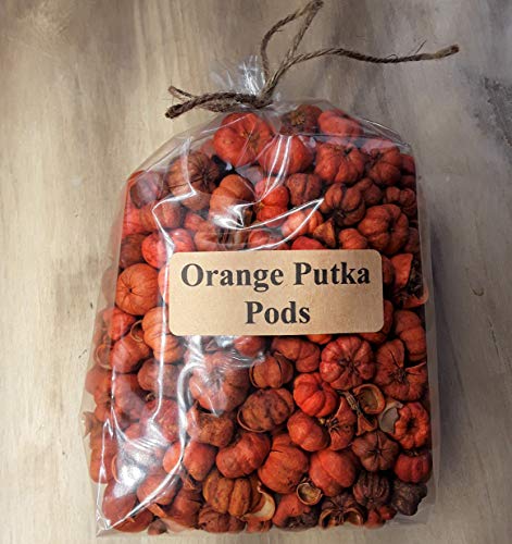 Mini Orange Putka Pods Pumpkin Pods for Potpourri and Bowl Fillers 4 Heaping Cups