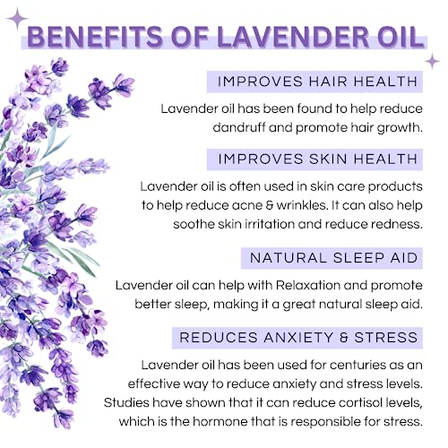Image of Lavender Essential Oil | Hair & Skin Care, Anti Aging | Better Sleep & Relaxation, Body Massage Aromatherapy | 100% Pure Therapeutic Grade - 15ml