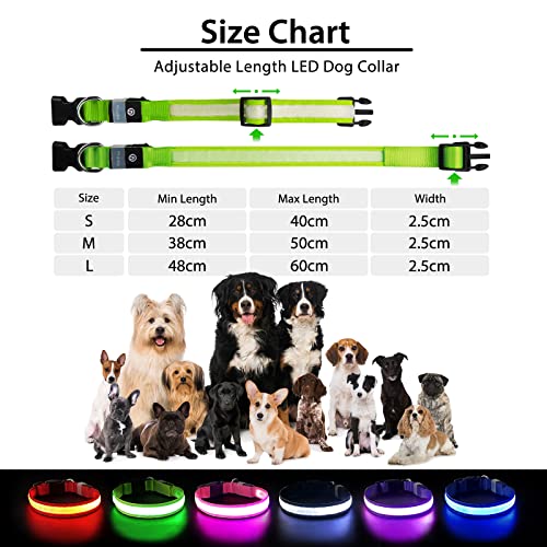 PcEoTllar Leuchthalsband Hund Aufladbar, Hundehalsband Leuchtend Wasserdicht, Blinkend LED Halsband für Hunde mit 7 Farben, Einstellbare LED Hundehalsband für Kleine Große Hunde, Grün-M