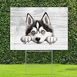 Photo Gallery siberian husky dog yard signs with stakes 45,7 x 61 cm heavy duty funny peeking dog puppy lawn sign for garden home outdoor yard party holiday christmas decor Photo Gallery siberian husky dog yard signs with stakes 45,7 x 61 cm heavy duty funny peeking dog puppy lawn sign for garden home outdoor yard party holiday christmas decor