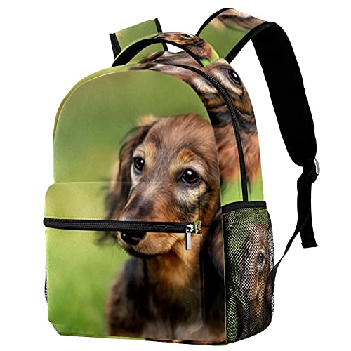 Sac à dos chien anti-mal de dos avec porte-bouteille étanche