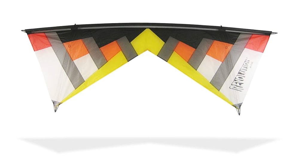 趣味・スポーツ・実用 A KITE Amazon.co.jp: REVOLUTION Kites New York ミニッツクワッド