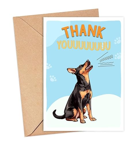 W[}sV[hbOJ[hÃTL[J[hA킢TL[J[hޔޏAFlA搶AiAADւ̃MtgAbt̊ӃMtgAhCc̃sV[DƁB