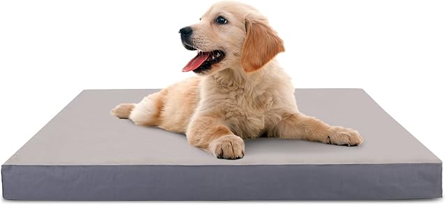 Nobleza - Small Dog Bed Washable Orthopedic Dog Beds Sponge Dog Crate Mattress Soft Puppy Bed with Removable Zip Cover Flat Dog Bed Pet Bed for Cat Kitten, S, 23.6x15.8x3.2 inch, Grey