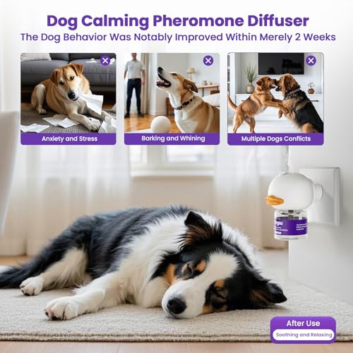 Image of Dog Calming Diffuser, Relaxing Pheromone to Calm Dogs, Advanced Pet Pheromones Supplies for Peeing Dog Anxiety Fireworks Relief Anti Barking, Fighting(1 Diffuser with 3 Refill)