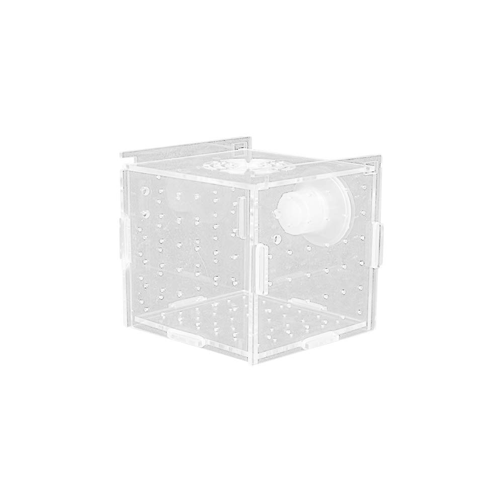 Buy ZQEU Fish Tank, Quarantine Box Fish Breeder Box Isolation Box