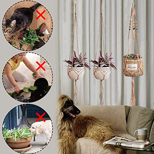 DKDDSSS 3 Pack Plant Hanger, Macrame Hanging Planter Pot Holder, Cotton Rope Flower Pot Hangers Basket - Image 4