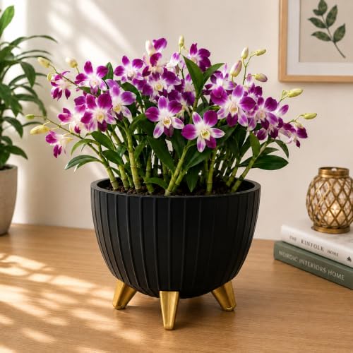 Image of Xmart India 7 Inch Decorative Plant Pot for Indoor & Outdoor Plants | Planter Pot with Stand & Legs |Ribbed Flower Pot for Home, Balcony, Garden, Living Room & Office | Plant Container (4, Black)