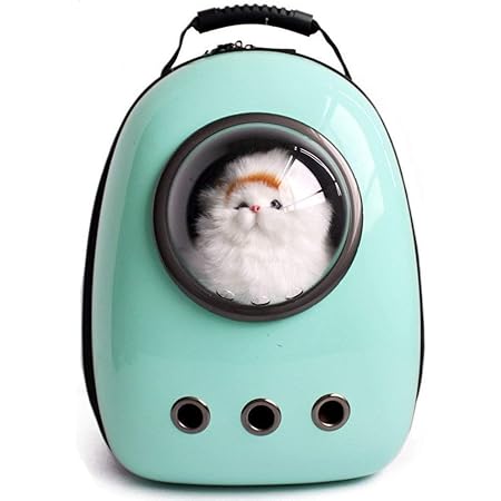 dome backpack for cats