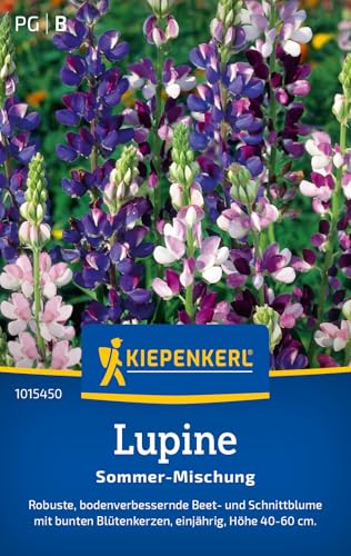Kiepenkerl Lupinensamen Sommer Mischung 1015450 Blumensamenmischung für eine robuste Beet- und Schnittblume mit Inhalt für 40 Pflanzen - Blumenwiese Saatgut
