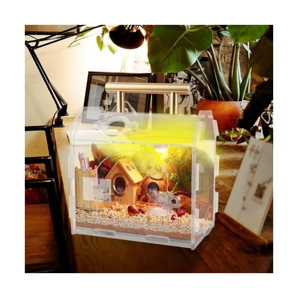 Jumping-Spider-Enclosure-Acrylic-Terrarium-Tarantula-Enclosure-with-Front-Opening-Door-59-47-61-Inches-Micro-Habitat-Terrarium-for-Tarantulas-Reptiles-Insects Jumping-Spider-Enclosure-Acrylic-Terrarium-Tarantula-Enclosure-with-Front-Opening-Door-59-47-61-Inches-Micro-Habitat-Terrarium-for-Tarantulas-Reptiles-Insects