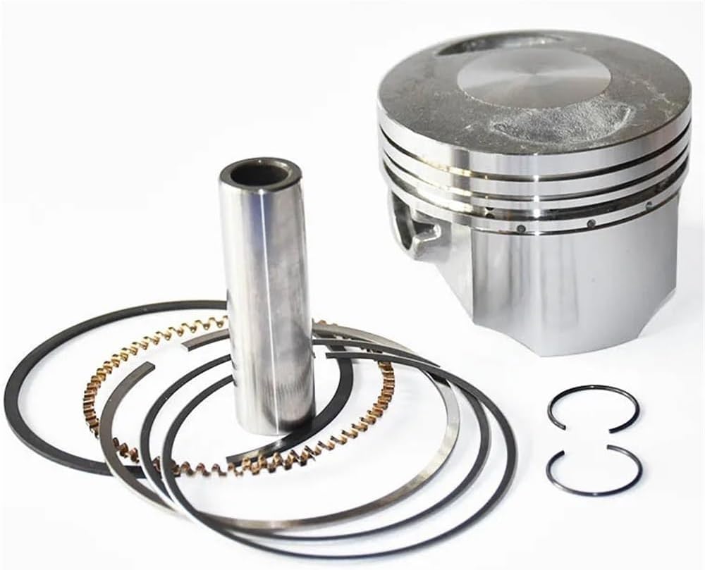 Piston Kit 67mm Piston 16mm Pin For L ZS LF BS CG250 250cc Engine