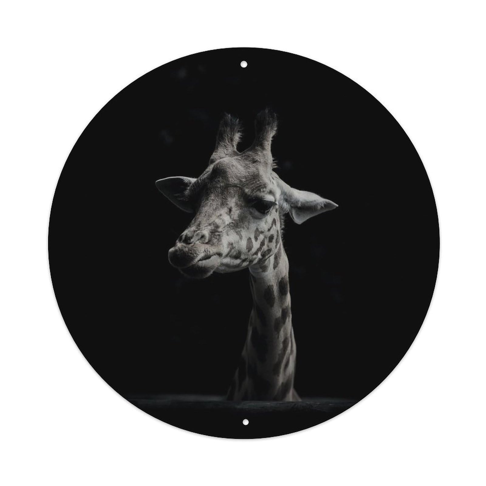 Giraffe Black White Wildlife Photography Classic Metal Tin Sign