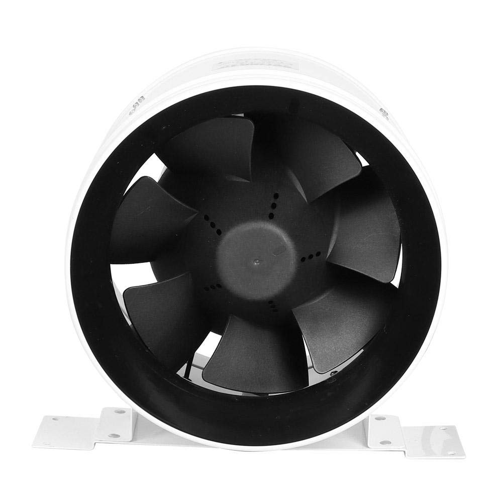 fan del timpano in soffitta