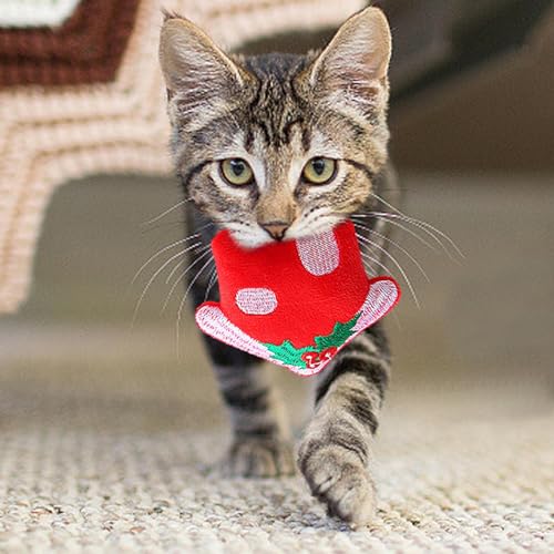 Brinquedos para mastigar gatinhos - 3 peças de brinquedos para brincar sozinhos para gatos estilo Na