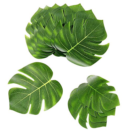 Hojas De Parra Lidl Me pica la curiosidad