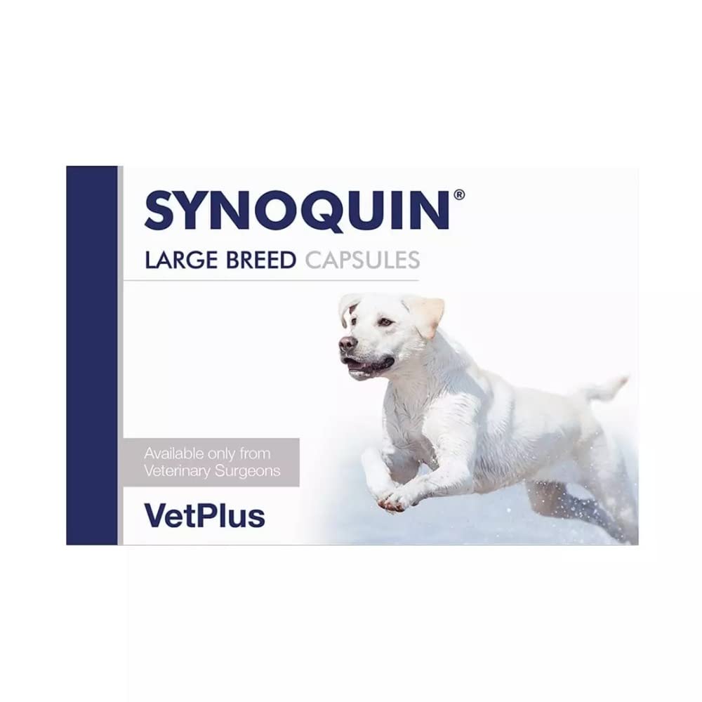 VetPlus Synoquin - kapsułki dużych ras - 30 kapsułek