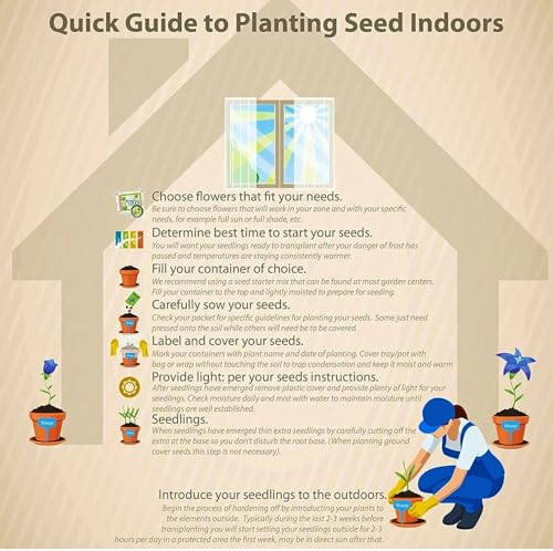 Image of Hosta Seeds For Planting (200 SEEDS) Low Maintenance - Grow Indoor /Outdoor Both - Grow Year Round (BLACK MARVEL)