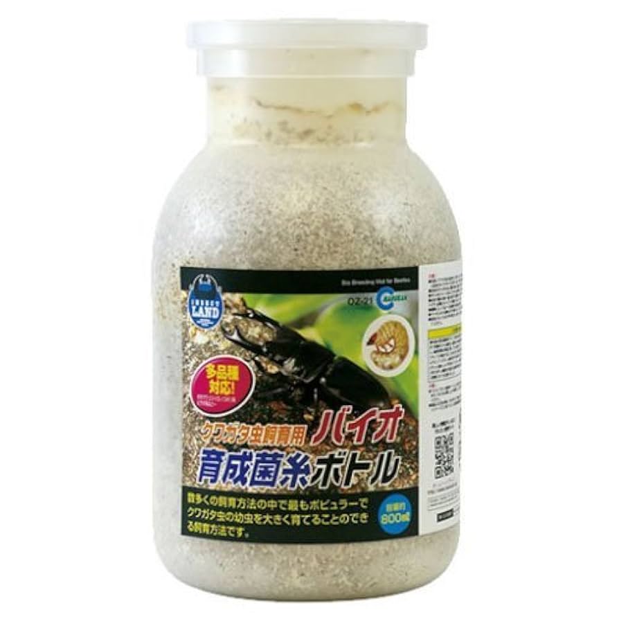 菌糸ボトル まとめ売り 冷蔵☆菌糸ビン MIKUプレミアム菌糸ボトル オオヒラタケ 1400cc 別途