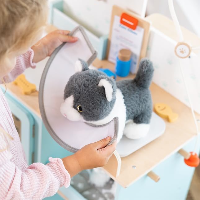 Fat Brain Toys Pet Care Clinic Pretend Play & Imaginative Play for Ages 3 to 5