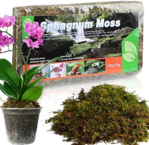 Dried Forest Moss for Plants