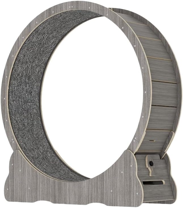 【未開封】　ファイブクロス　蓮城寺べる　サイン入り　プリティーリズム ファイブクロス プリティーリズム・レインボーライブ 蓮城寺べる