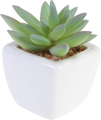 Miniatura 1 de DECHOUS Plantas artificiales falsas suculentas bonsái falsas maceta para decoración del jardín del hogar