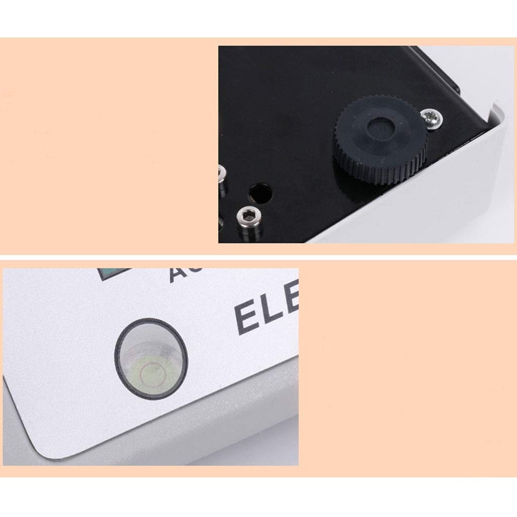 Electronic Precision Balance Lab Scale Counting Scientific Gram for Laboratory Jewelry Industrial Business Weighing Digital (A 200g/0.001g)