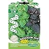 Germisem EC9064 Basilicum Mix Basilicum Trio Zaden op 6 m Tape