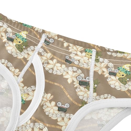 Boys' Exclusive Briefs Toddler Underwear 95% Combed Cotton Boxerbriefs 2T Fairy and Flower Path Pattern 704