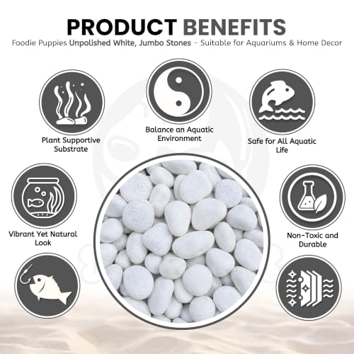 Image of Foodie Puppies Unpolished White Decorative Stones (5Kg, Jumbo Extra Large) (8cm - 12cm) for Garden Landscaping, Swimming Pools, Fish Tanks, Home Decor, Indoor & Outdoor Decorative Pebbles