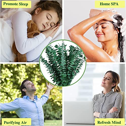 image for Glicrili 10Pcs Dried Eucalyptus Stems for Shower 17