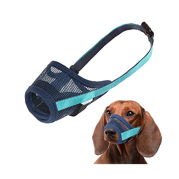 dog muzzle for vet visit