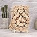 ROKR Owl Clock Puzzle 3D Maqueta Madera | Maquetas para Montar |...