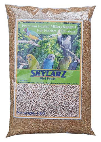 Image of Foxtail Millet Kangni Seeds 1 Kg - All Life Stages, Bird