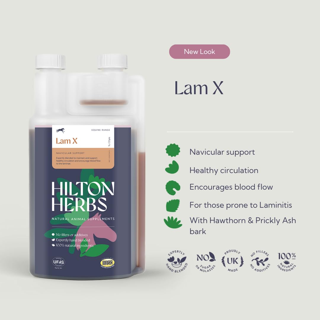 Hilton Herbs NAV-X Gold 1 L Complément Alimentaire Cheval Foubure et Naviculaire