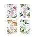 TeaTime Tencel Korean Face Mask Sheet | Tea Essence Moisturizing, Soothing, Energizing, and Balancing Facial Skin (Total 4 sheets, 1 of 4 kinds)