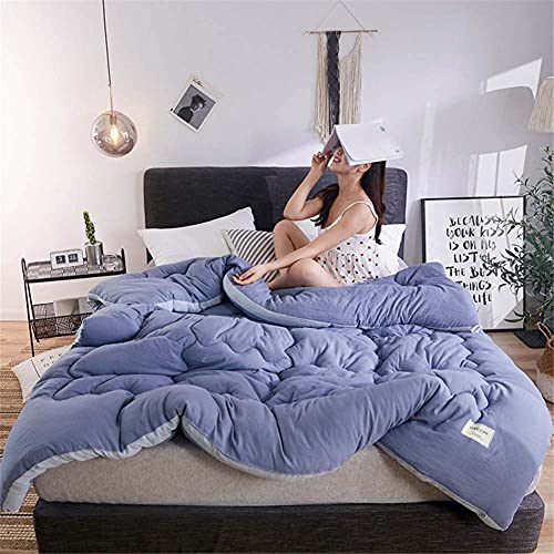 Piumino in cotone invernale, nucleo caldo del piumino Bordo tridimensionale a doppio strato Nucleo caldo imbottito in cotone lavato con acqua - Nucleo semplice della trapunta autunnale e invernale (Bl