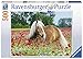 Produktbild Ravensburger Puzzle 14831 - Pferd im Mohnfeld - 500 Teile