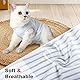 Cat Professional Recovery Anzug, chirurgische Erholung Shirt für Bauchwunden Bandagen Kegel Alternative für Katzen nach Operationen medizinischer Anzug weiche Haustierkleidung Indoor(Blau,S)