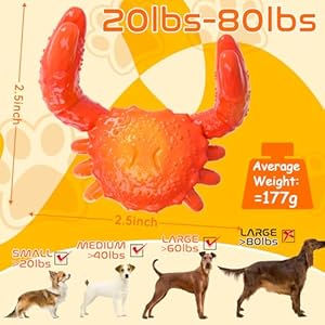 Dog toys indestructible dog chew toys for aggressive chewers tough super chewer nylon bones dog toys with bacon flavor crab teething and training chew toys for large medium small dog breeds   cucciolini doodles