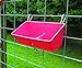 Little Giant® Plastic Fence Feeder | Pig Feeder | Clip On Fence Feeder | Mountable Feed Bucket | 9 Quarts | Red