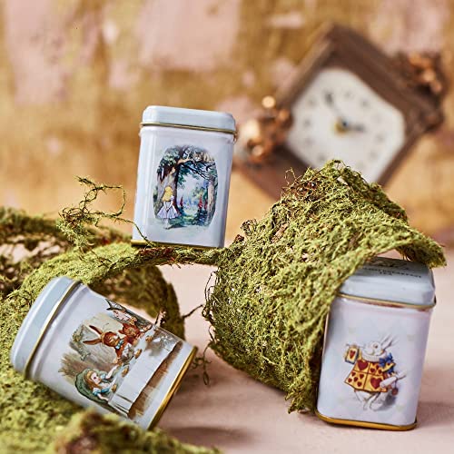 Alice In Wonderland 3X Mini Tea Tins With Assorted English Loose Leaf Tea #TOP3