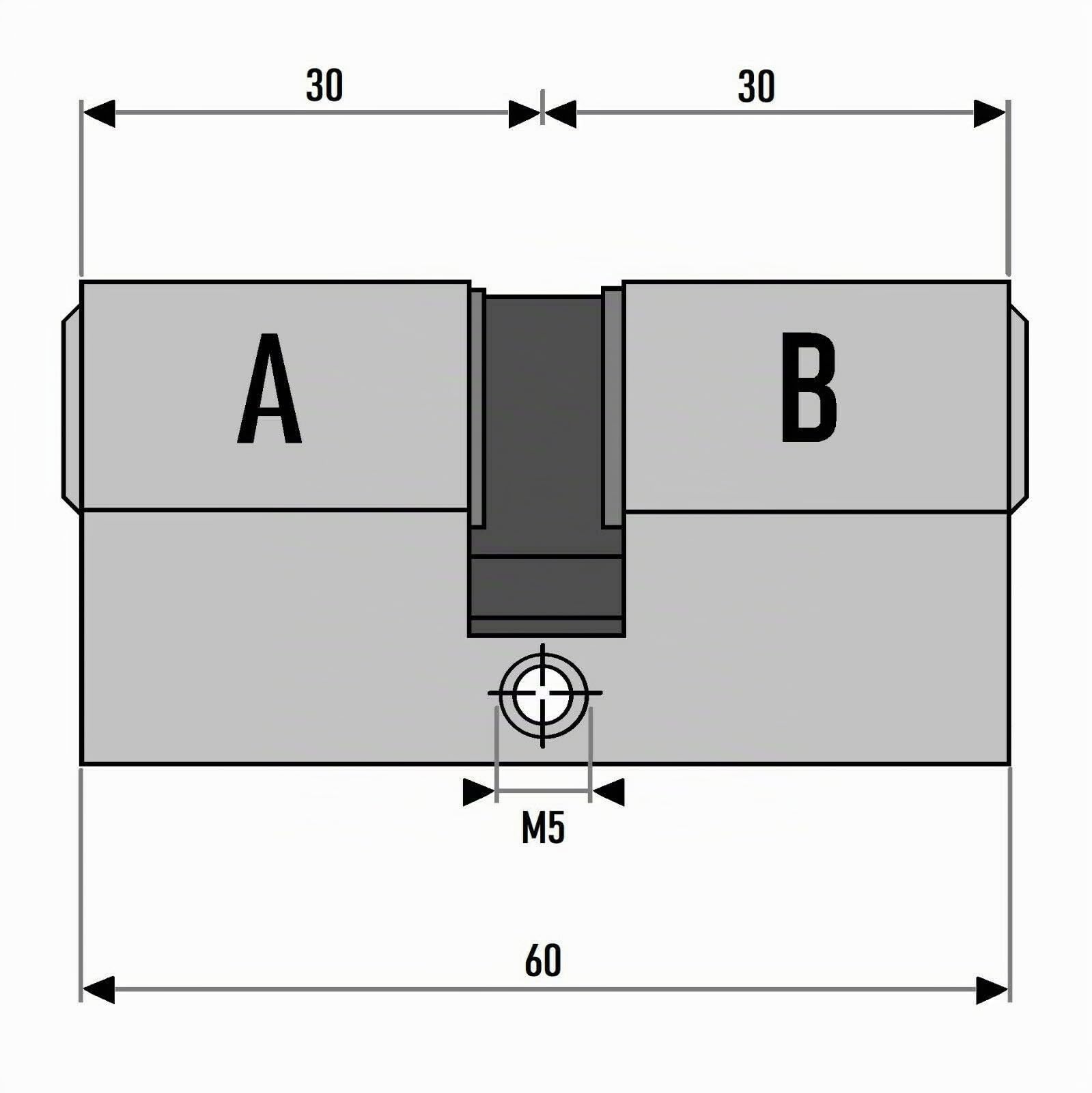 4x Profilzylinder 60mm 30/30 20x Schlüssel Tür Zylinder Schloss gleichschließend