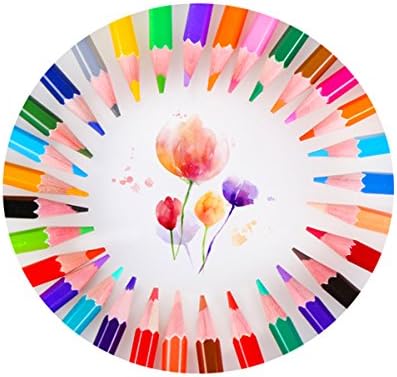 18-color Art Colored Drawing Pencils for Kids Drawing/Artist Sketch/Adult Secret Garden Coloring Book/Manga Artwork (18-color)