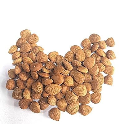 Natural Raw Bitter Apricot Kernels 16oz, Organic USDA Certified Bitter Apricot Seeds 1LB