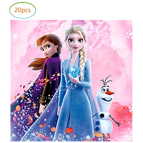 Xhssf Pink Frozen Birthday Party Supplies, 20 Plates And 20 Napkins, For Pink Frozen Theme Birthday Party Decorations #TOP3