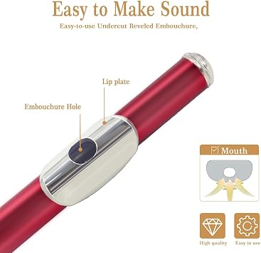 Red C Flute Closed Hole 16 Keys Flute Nickel-Plated for Beginner, Student and Professionals with Carrying case, Metal stand, Gloves, Tuning Rod, Cleaning kit(Red)